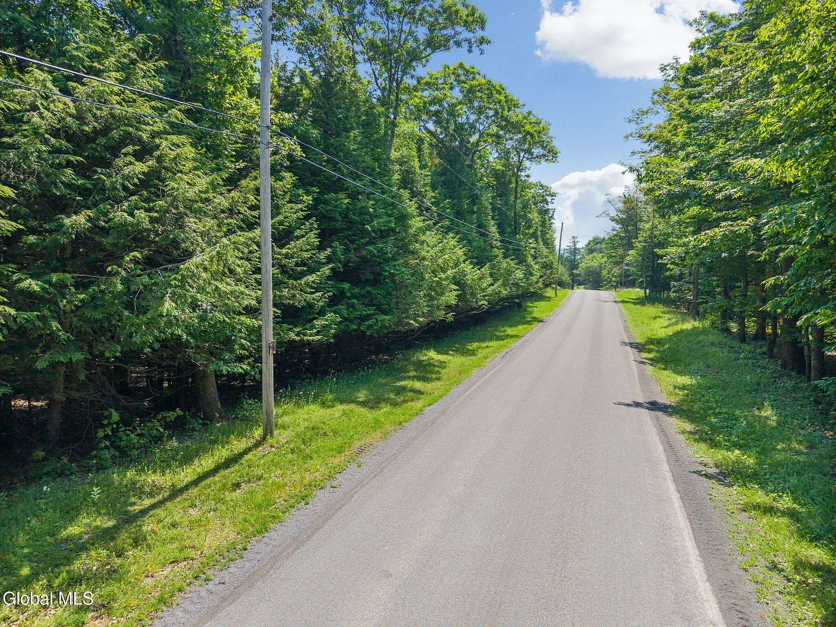 42.6 Acres of Recreational Land for Sale in Berne, New York