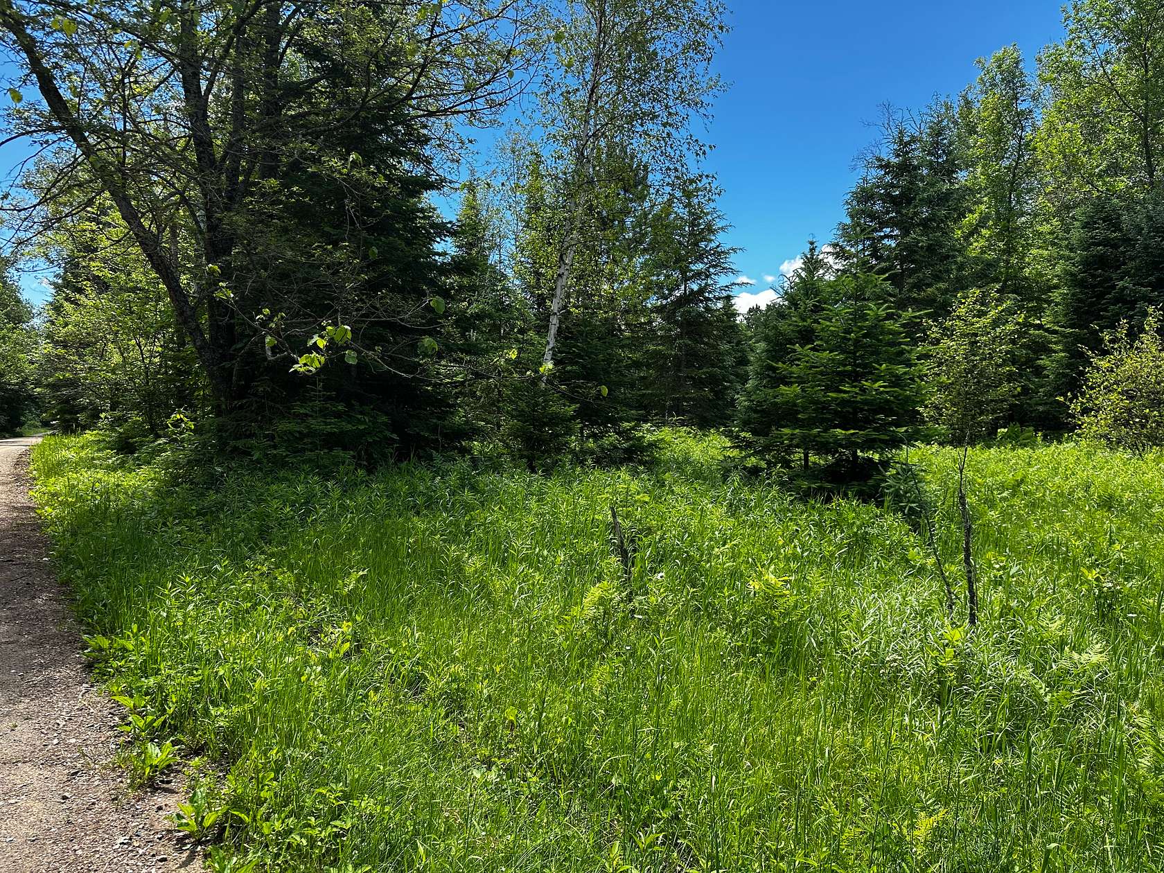 5.3 Acres of Residential Land for Sale in Palisade, Minnesota