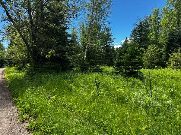 5.3 Acres of Residential Land for Sale in Palisade, Minnesota