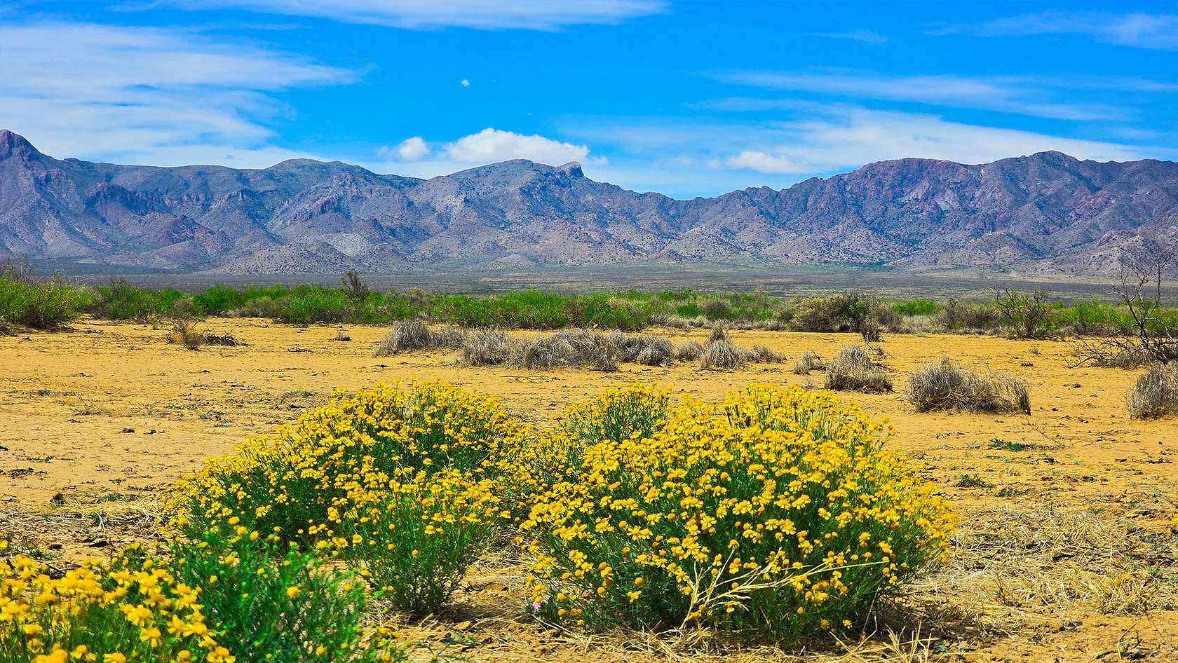 3 Acres of Residential Land for Sale in Deming, New Mexico