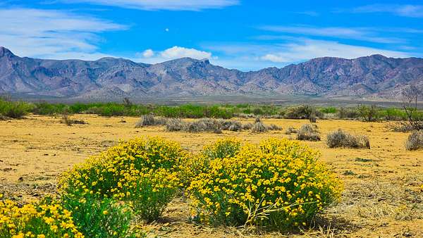 3 Acres of Residential Land for Sale in Deming, New Mexico
