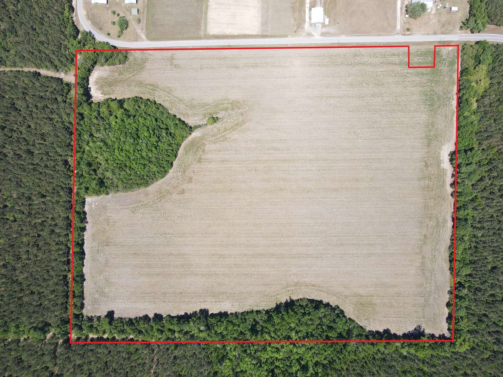31.5 Acres of Recreational & Residential Land for Sale in Blountstown, Florida