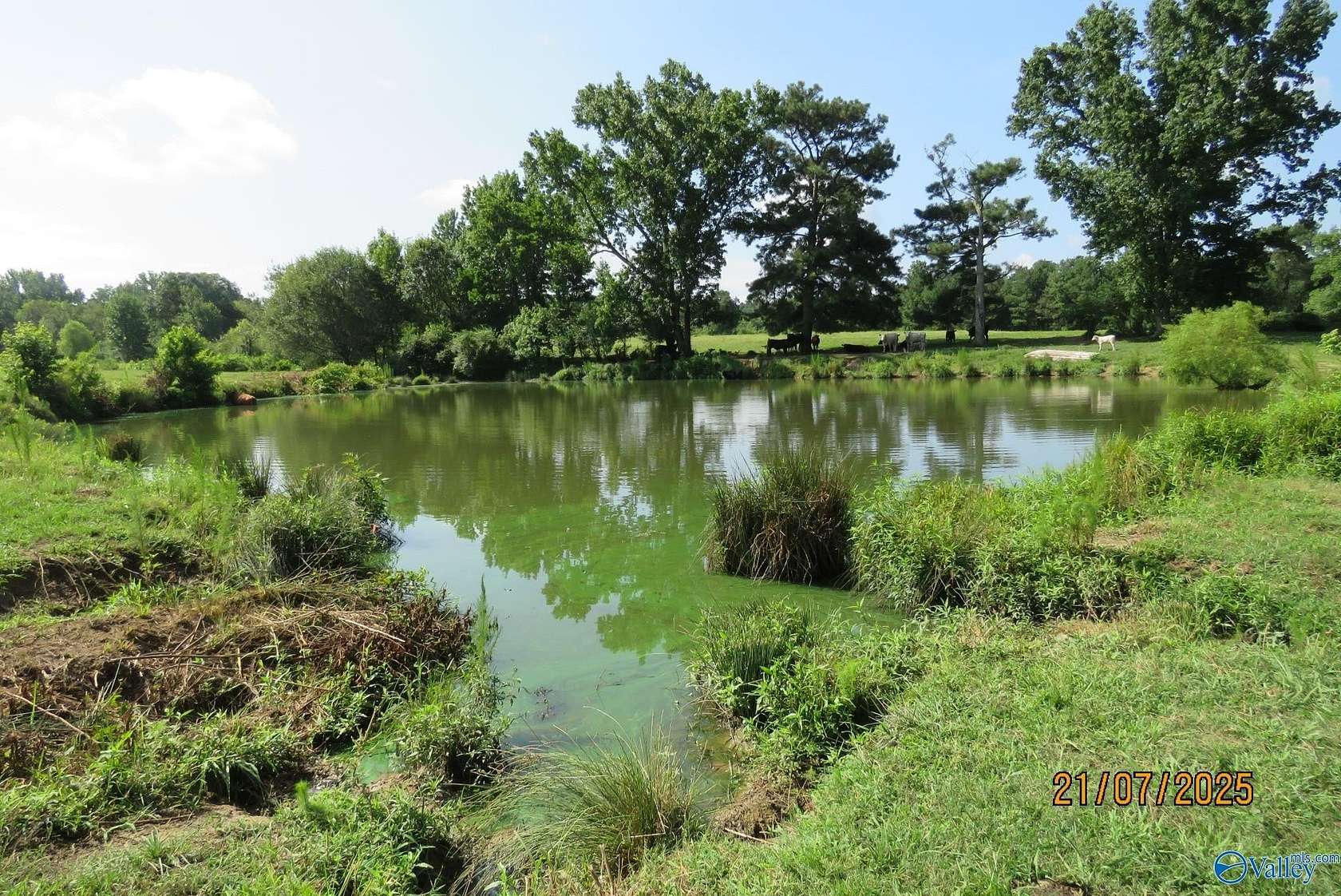 11.6 Acres of Agricultural Land for Sale in Boaz, Alabama
