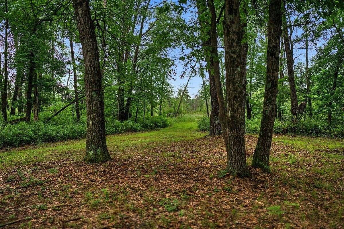 20 Acres of Recreational & Residential Land for Sale in Nekoosa, Wisconsin