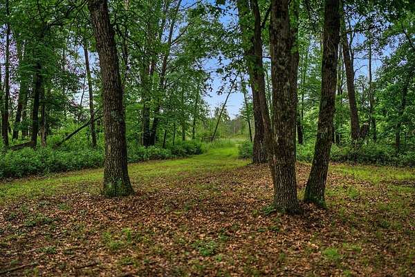 20 Acres of Recreational & Residential Land for Sale in Nekoosa, Wisconsin