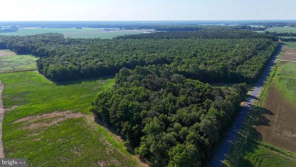 72.6 Acres of Land for Sale in Greenwood, Delaware