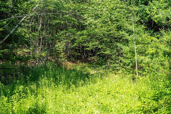 5 Acres of Residential Land for Sale in Moultonborough, New Hampshire