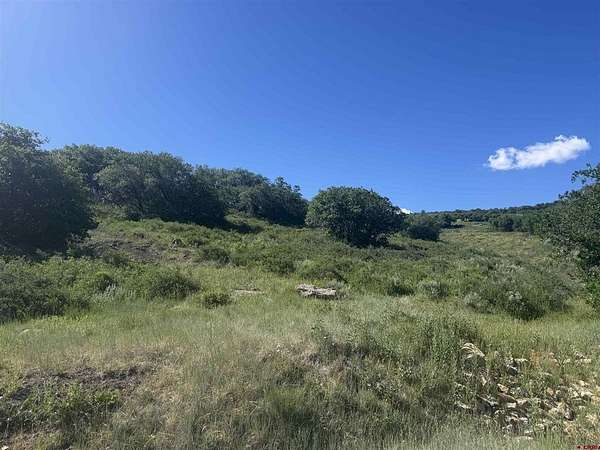 11.8 Acres of Land for Sale in Montrose, Colorado
