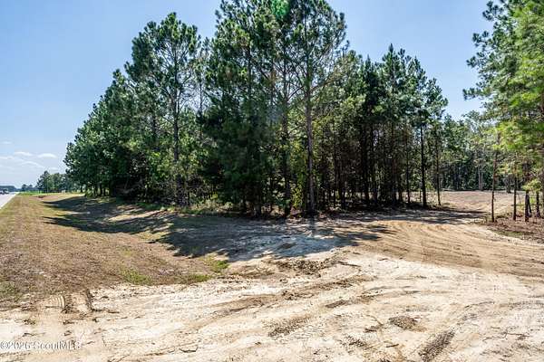 2.46 Acres of Residential Land for Sale in Blackshear, Georgia