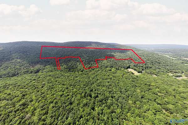 70.5 Acres of Recreational & Residential Land for Sale in New Market, Alabama