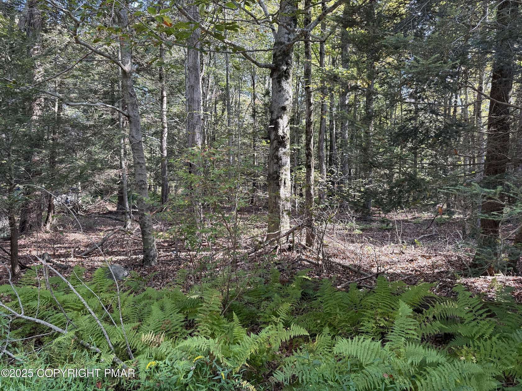 0.64 Acres of Residential Land for Sale in Blakeslee, Pennsylvania