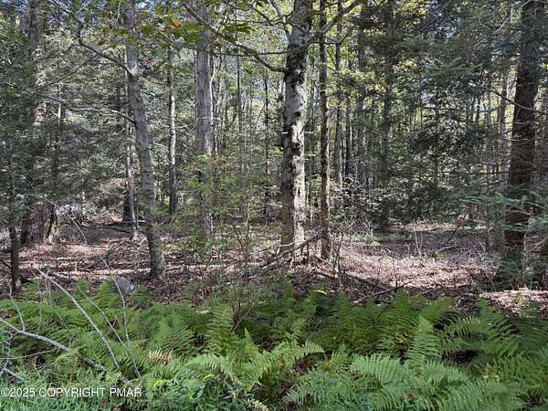 0.64 Acres of Residential Land for Sale in Blakeslee, Pennsylvania