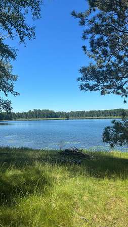 11.4 Acres of Land for Sale in Deer River, Minnesota