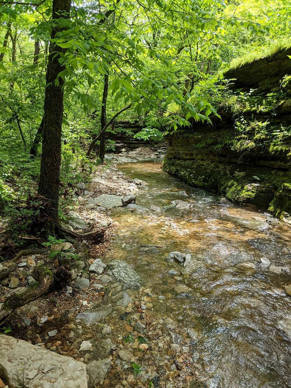 17.2 Acres of Recreational & Residential Land for Sale in Cassville, Missouri