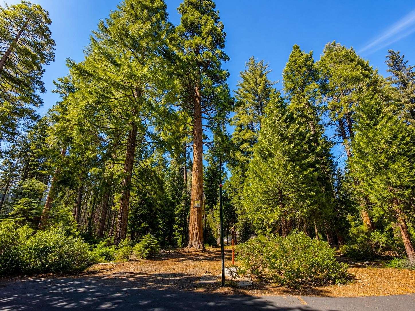 0.33 Acres of Residential Land for Sale in Shaver Lake, California