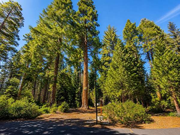 0.33 Acres of Residential Land for Sale in Shaver Lake, California