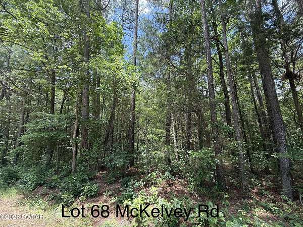 3.4 Acres of Residential Land for Sale in Camden, Tennessee
