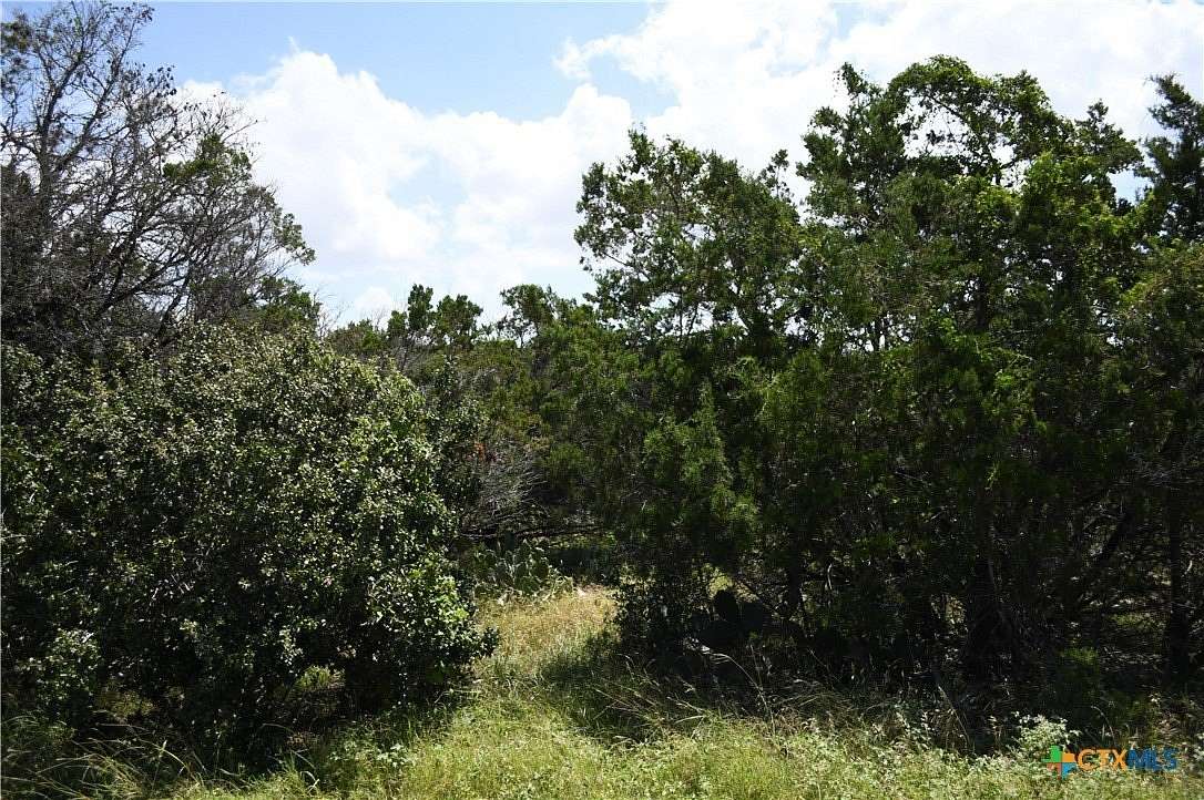 0.24 Acres of Residential Land for Sale in Spring Branch, Texas