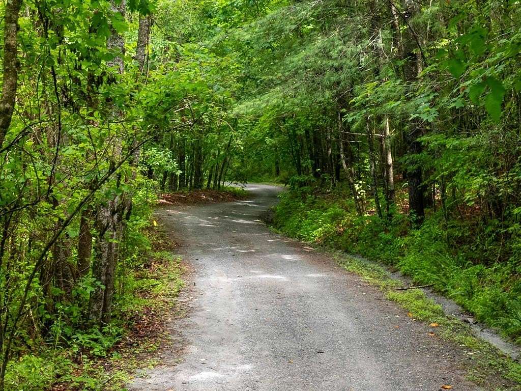 34 Acres of Recreational & Residential Land for Sale in Sylva, North Carolina