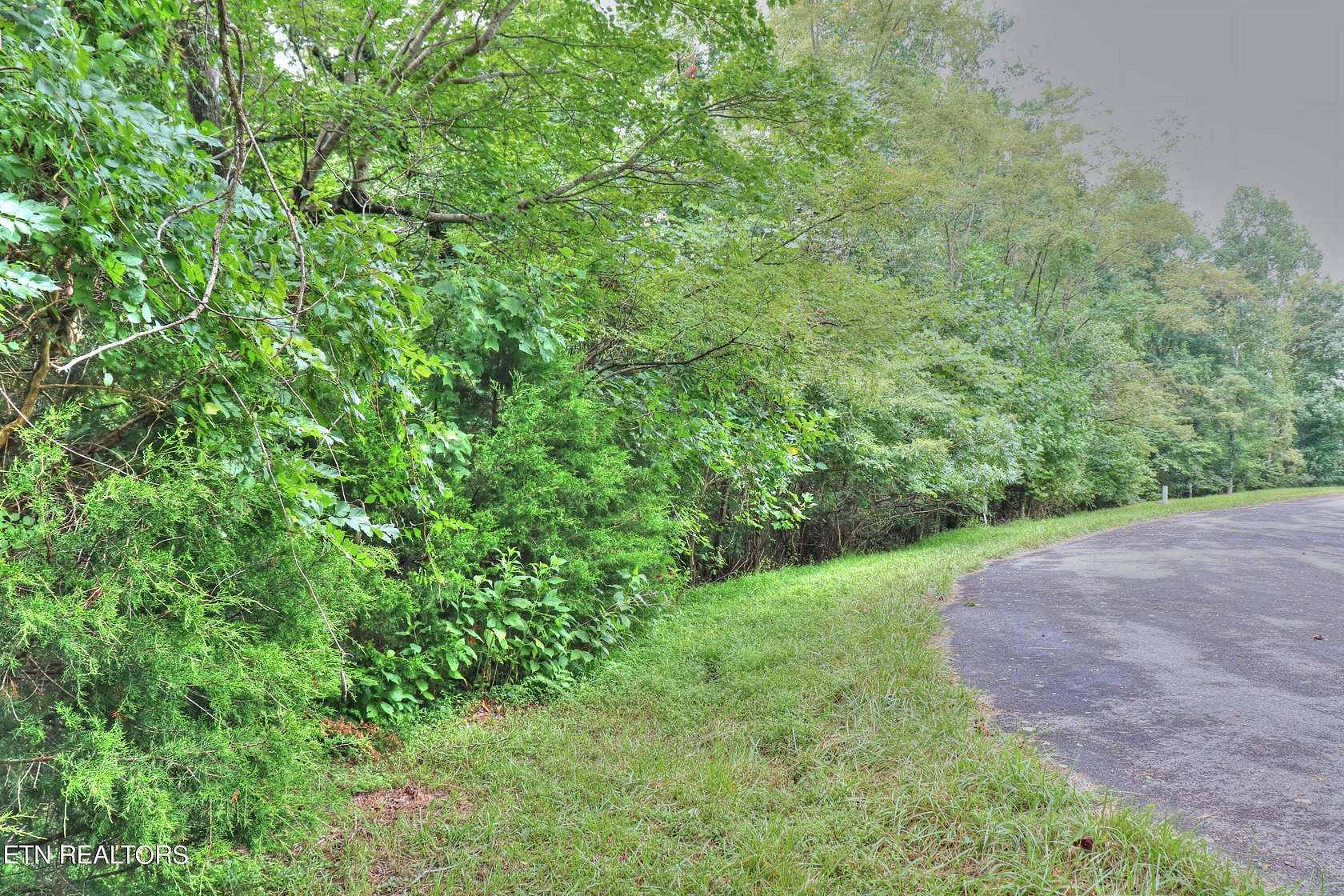 1.12 Acres of Residential Land for Sale in New Tazewell, Tennessee