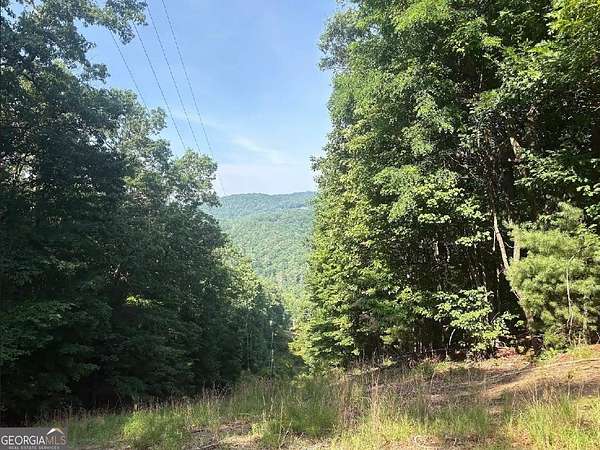 2 Acres of Residential Land for Sale in Jasper, Georgia