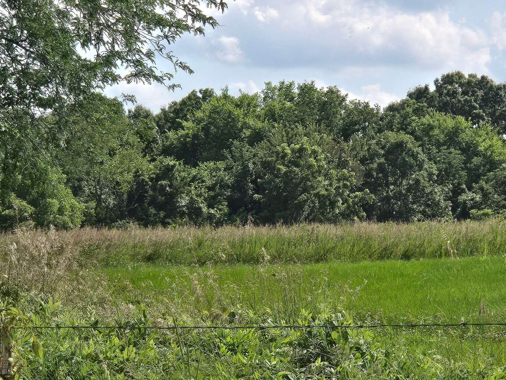 17.2 Acres of Recreational & Residential Land for Sale in Louisburg, Missouri