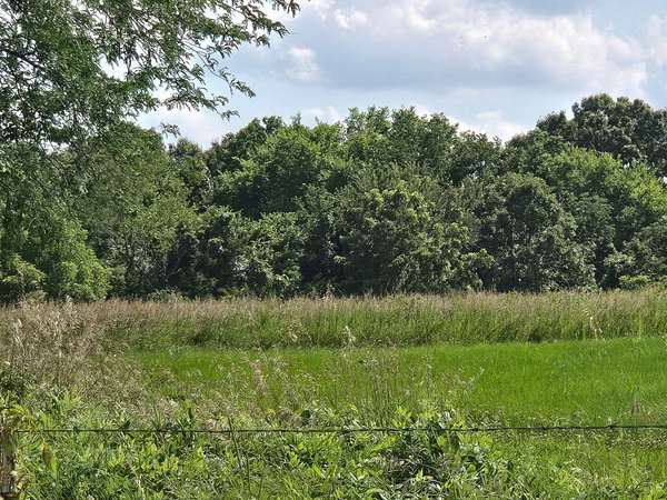 17.2 Acres of Recreational & Residential Land for Sale in Louisburg, Missouri