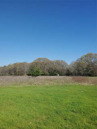 5 Acres of Residential Land for Sale in Athens, Texas