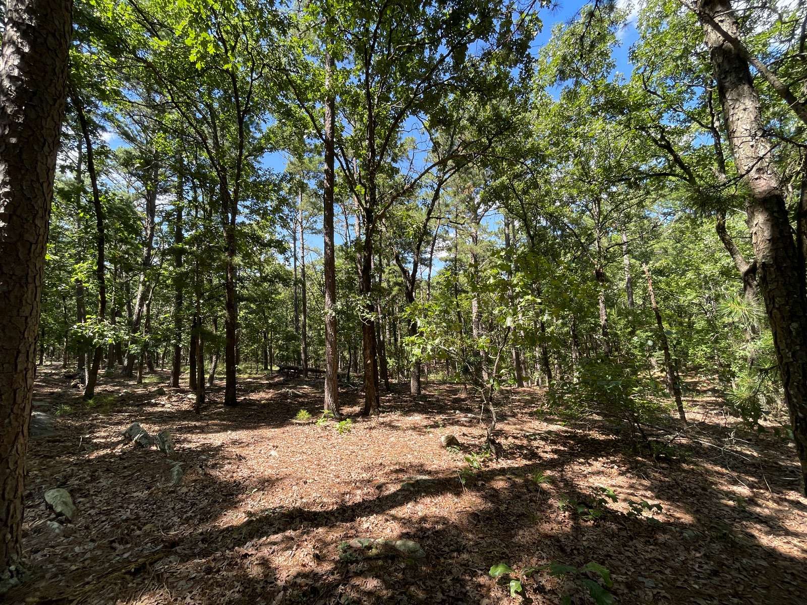 5 Acres of Residential Land for Sale in Moyers, Oklahoma