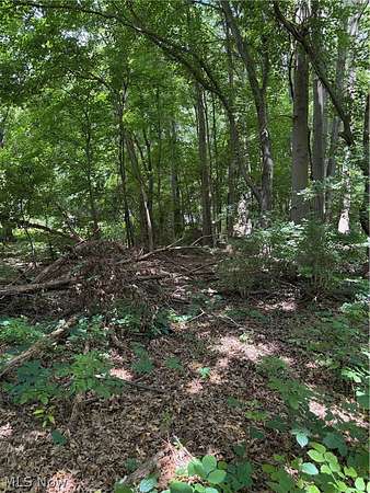 0.97 Acres of Residential Land for Sale in Painesville Township, Ohio