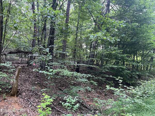 0.86 Acres of Residential Land for Sale in White Pine, Tennessee