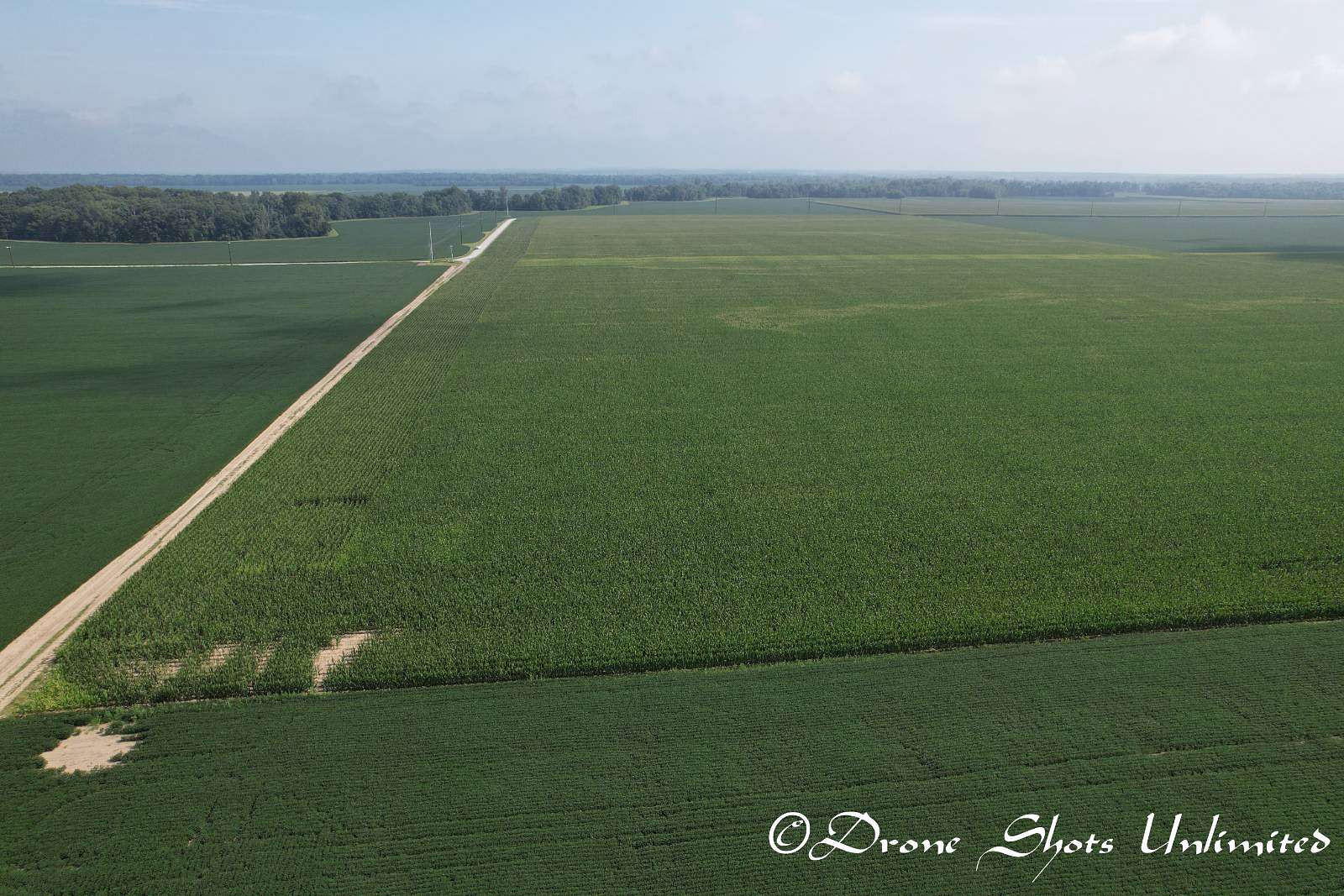 40 Acres of Agricultural Land for Sale in McLeansboro, Illinois