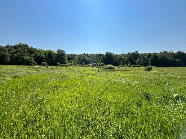 7 Acres of Residential Land for Sale in Antwerp, New York