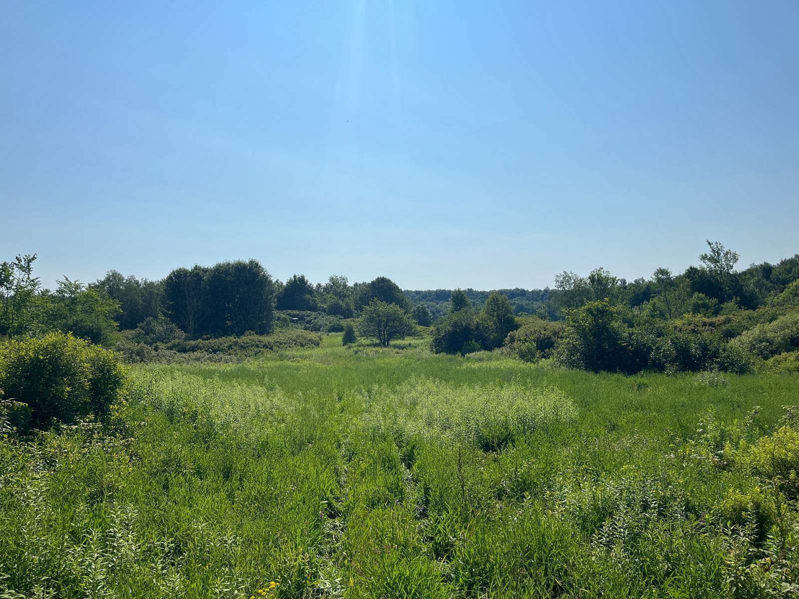 105 Acres of Recreational & Residential Land for Sale in Antwerp, New York