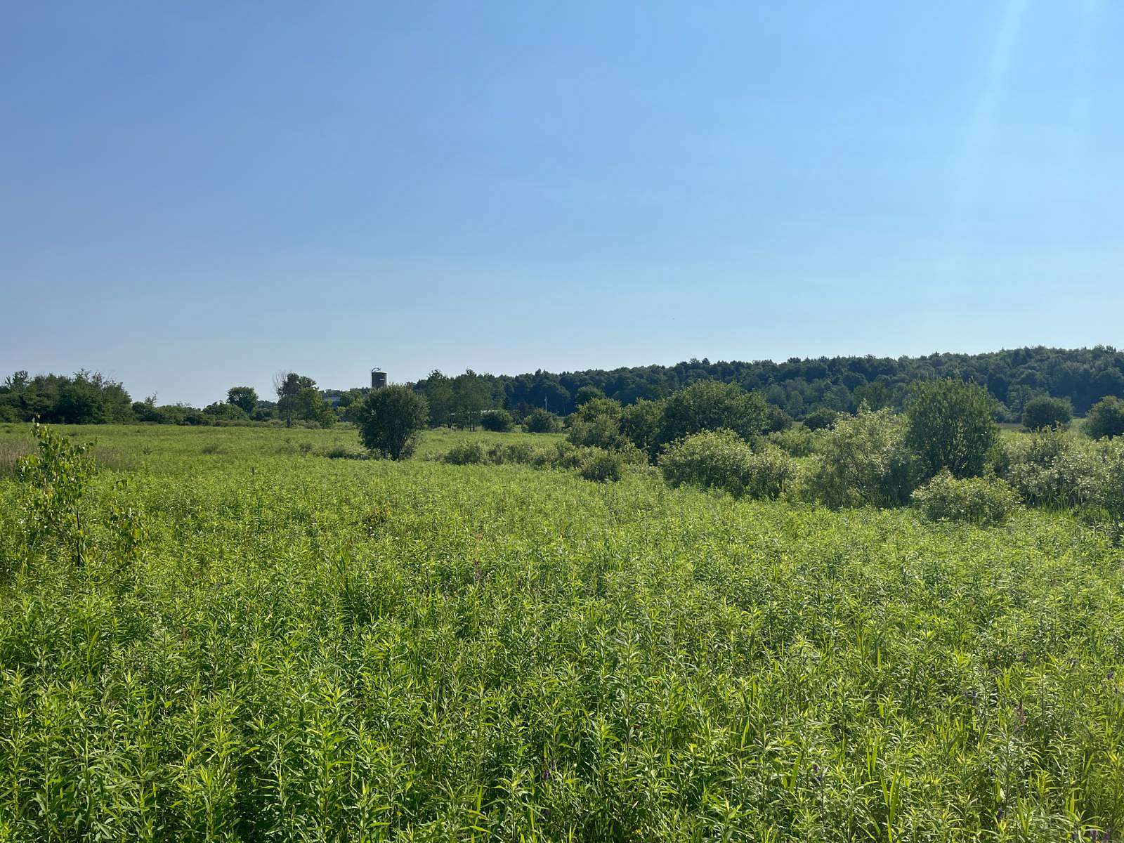 105 Acres of Recreational & Residential Land for Sale in Antwerp, New York