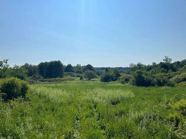 105 Acres of Recreational & Residential Land for Sale in Antwerp, New York