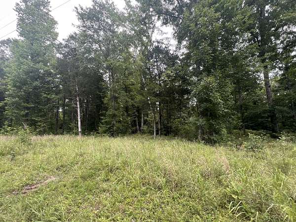0.76 Acres of Residential Land for Sale in Linden, Tennessee
