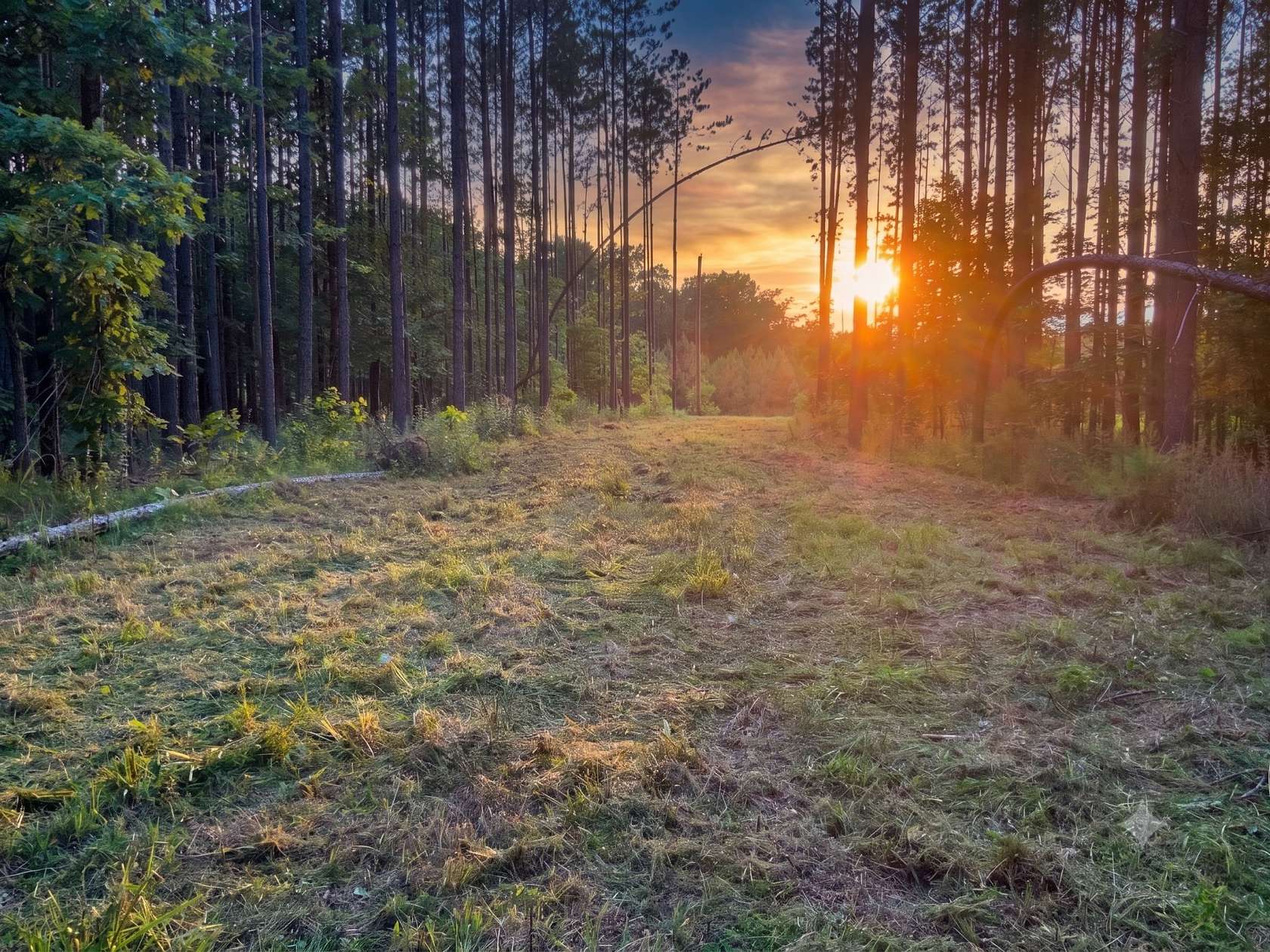 17.4 Acres of Recreational & Residential Land for Sale in Big Sandy, Tennessee