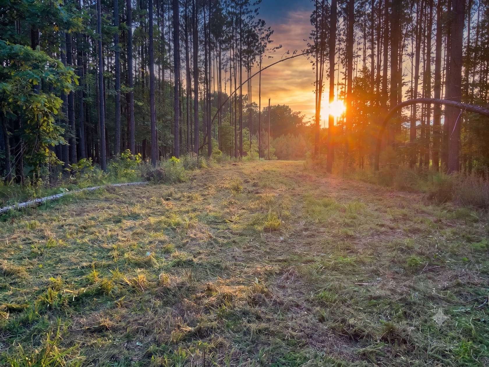 17.4 Acres of Land for Sale in Big Sandy, Tennessee