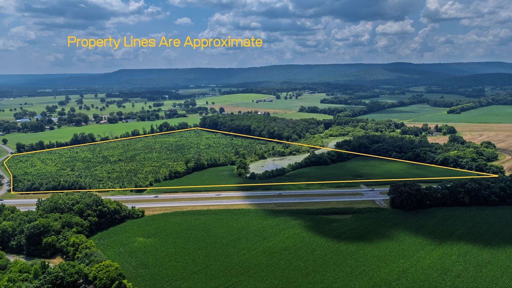 45.9 Acres of Land for Sale in Belvidere, Tennessee