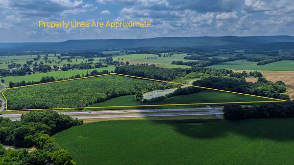 45.9 Acres of Land for Sale in Belvidere, Tennessee