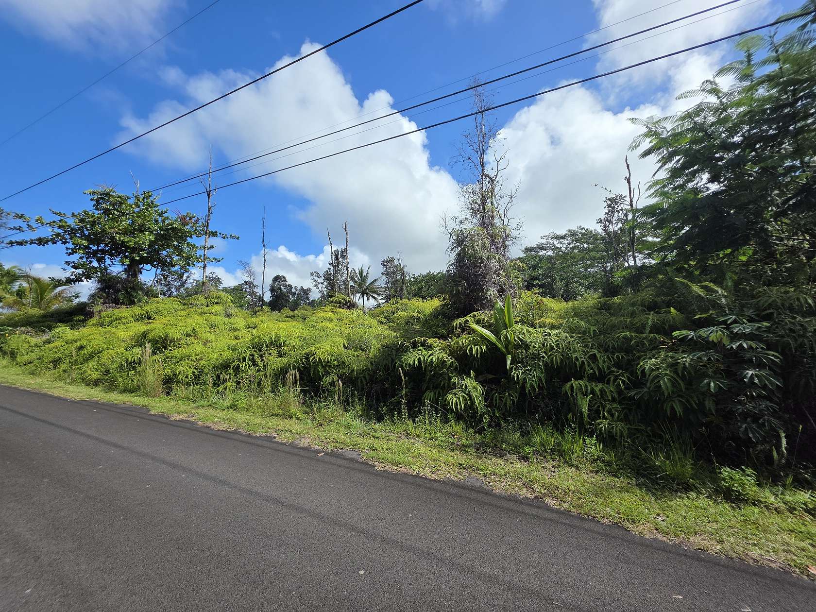 1 Acre of Residential Land for Sale in Keaau, Hawaii
