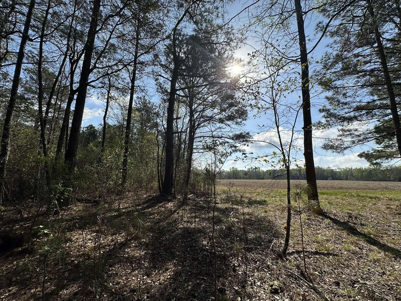 1.1 Acres of Land for Sale in Frisco City, Alabama