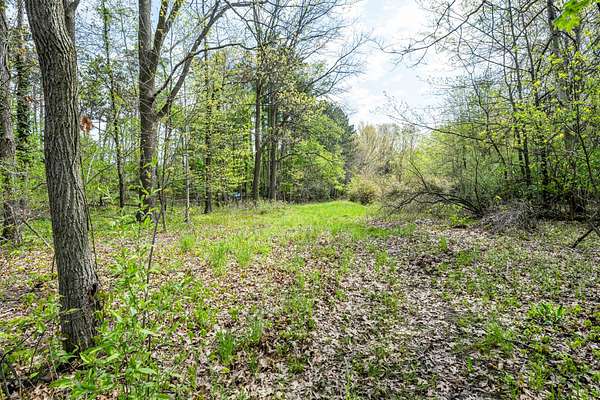 4 Acres of Residential Land for Sale in Bridgman, Michigan