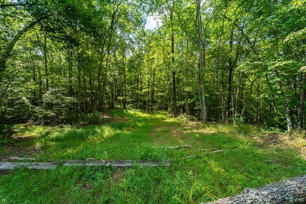 7.37 Acres of Land for Sale in Mineral Bluff, Georgia