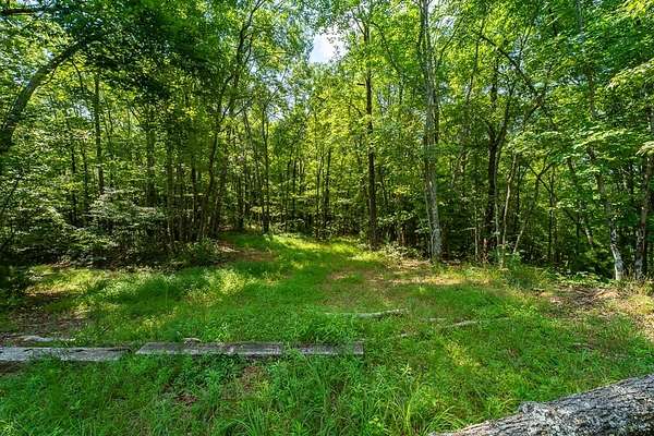7.37 Acres of Land for Sale in Mineral Bluff, Georgia