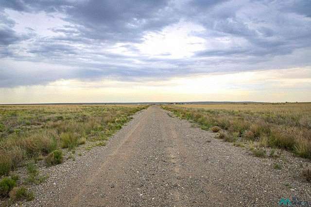 60 Acres of Recreational & Residential Land for Sale in Roswell, New Mexico