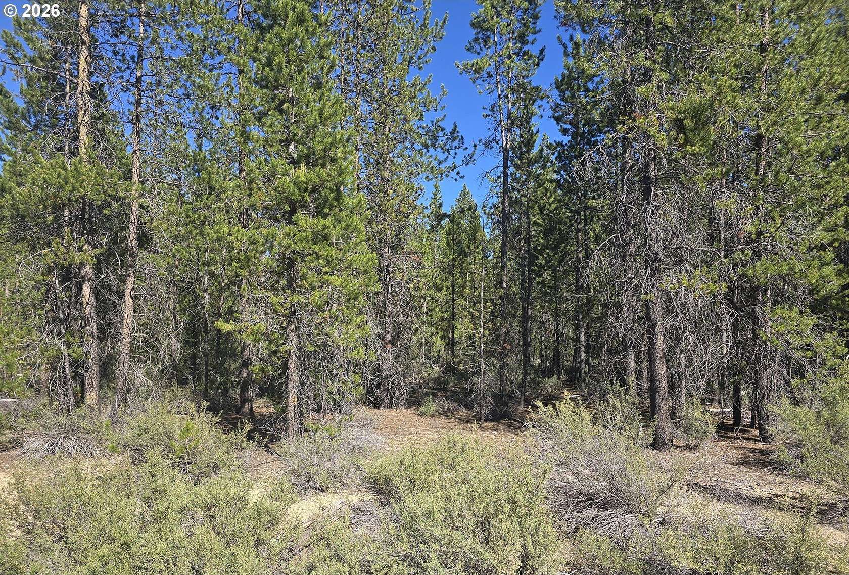 1 Acre of Residential Land for Sale in Chemult, Oregon