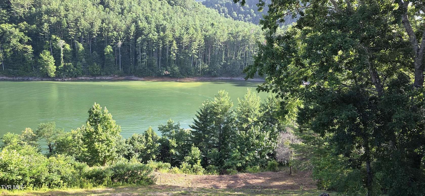 0.82 Acres of Residential Land for Sale in Butler, Tennessee