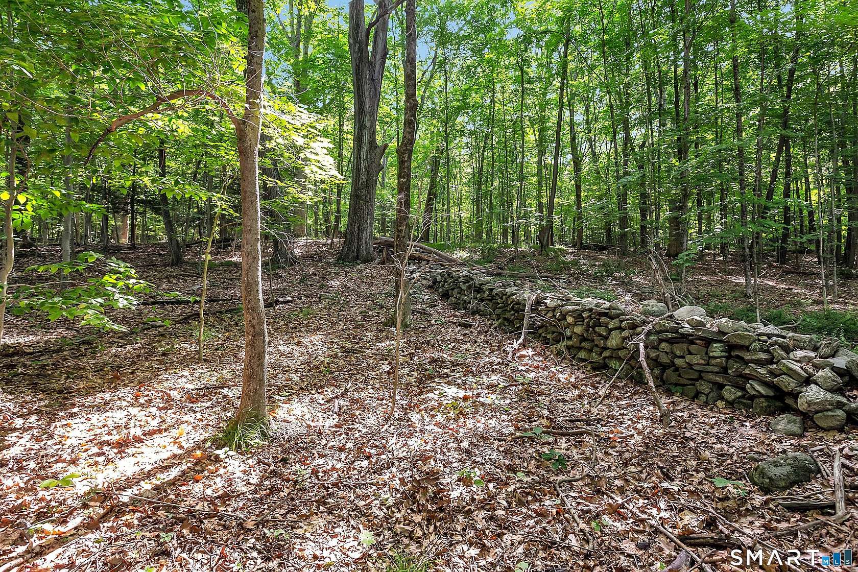 8.64 Acres of Residential Land for Sale in Roxbury, Connecticut